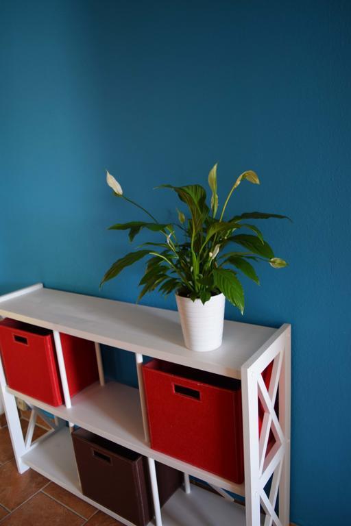 Apartament Obstkorb Stralsund Pokój zdjęcie